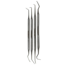 Load image into Gallery viewer, 4 Piece Assorted Stainless Steel Dental Tool Pick Set Double Ended Scalers Oral Hygiene Kit