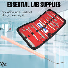 Load image into Gallery viewer, 12/Pack Plastic Handle Dissecting Dissection Teasing Needle Angled
