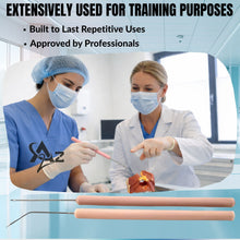 Load image into Gallery viewer, 12/Pack Plastic Handle Dissecting Dissection Teasing Needle Straight + Angled