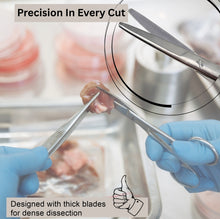 Load image into Gallery viewer, Mayo Dissecting Blunt Scissors 6.75", Straight, Stainless Steel