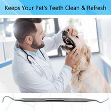 Load image into Gallery viewer, Explorer #5 Double Ended Oral Hygiene Care Stainless Steel Dental Tool