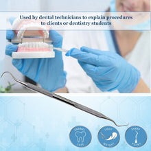 Load image into Gallery viewer, Explorer #5 Double Ended Oral Hygiene Care Stainless Steel Dental Tool