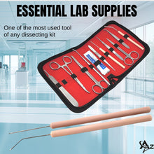 Load image into Gallery viewer, 12/Pack Plastic Handle Dissecting Dissection Teasing Needle Straight + Angled
