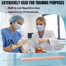 Load image into Gallery viewer, 12/Pack Plastic Handle Dissecting Dissection Teasing Needle Straight
