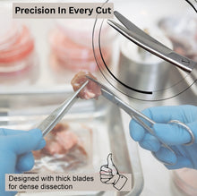 Load image into Gallery viewer, Mayo Dissecting Blunt Scissors 5.5", Curved, Stainless Steel
