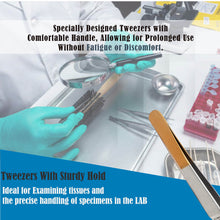 Load image into Gallery viewer, Adson Brown Dissecting Forceps Stainless Steel 9x9 Rat Teeth 4.75" Straight Tweezers Colored Band
