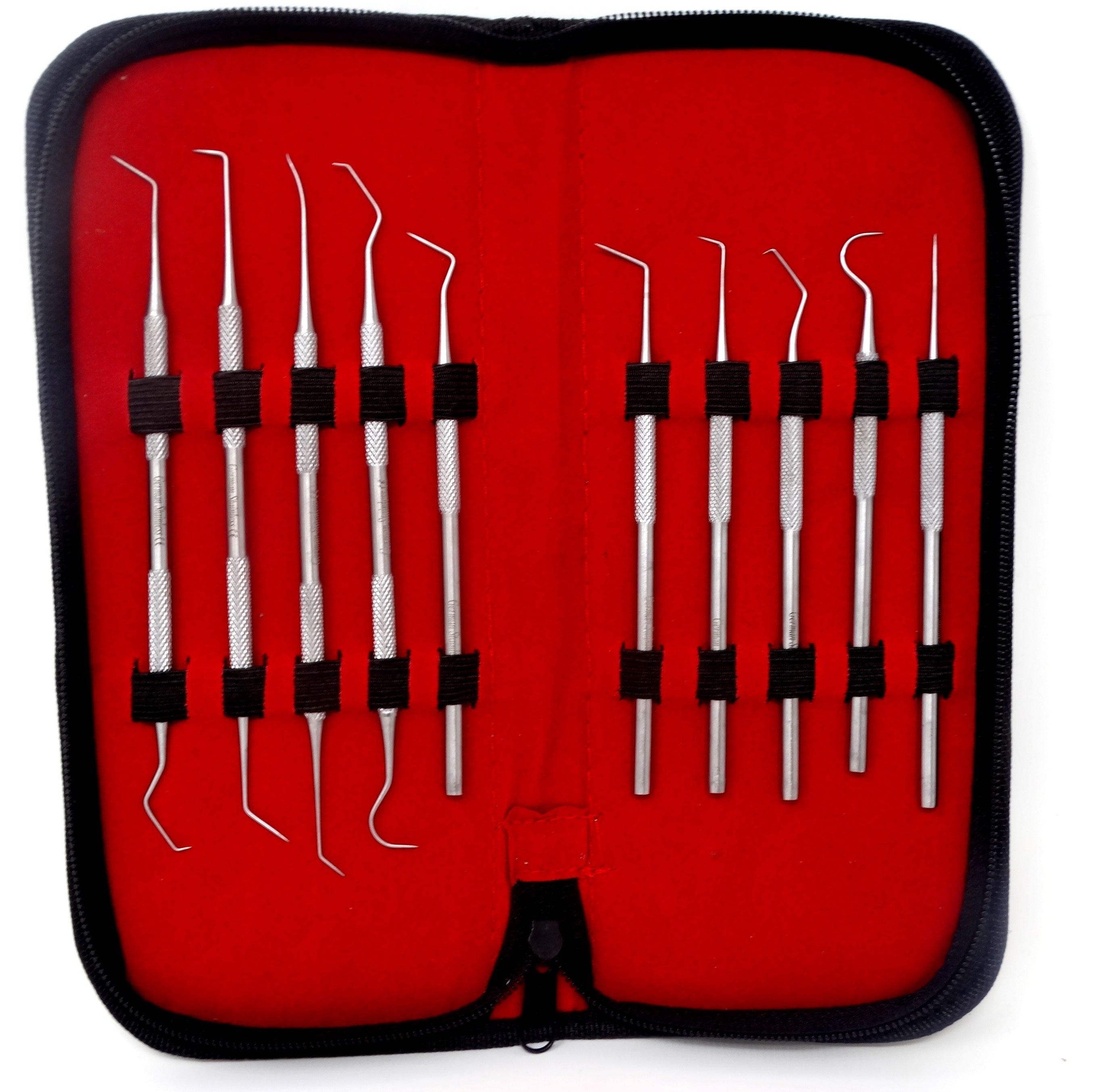 Dental Tools 10-Pack Oral Care Tools Stainless Steel Plaque