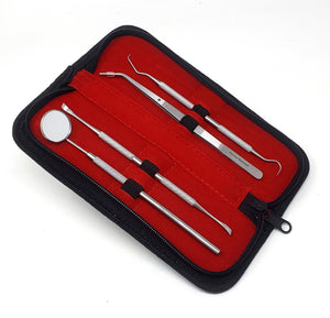 Professional Oral Care Kit 4 Pcs Dental Floss Picks Teeth Tartar Scraper Stainless Steel Tools for Advanced Cleaning