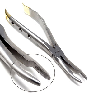 Dental Extraction Forceps #44, Gold Handle, Stainless Steel