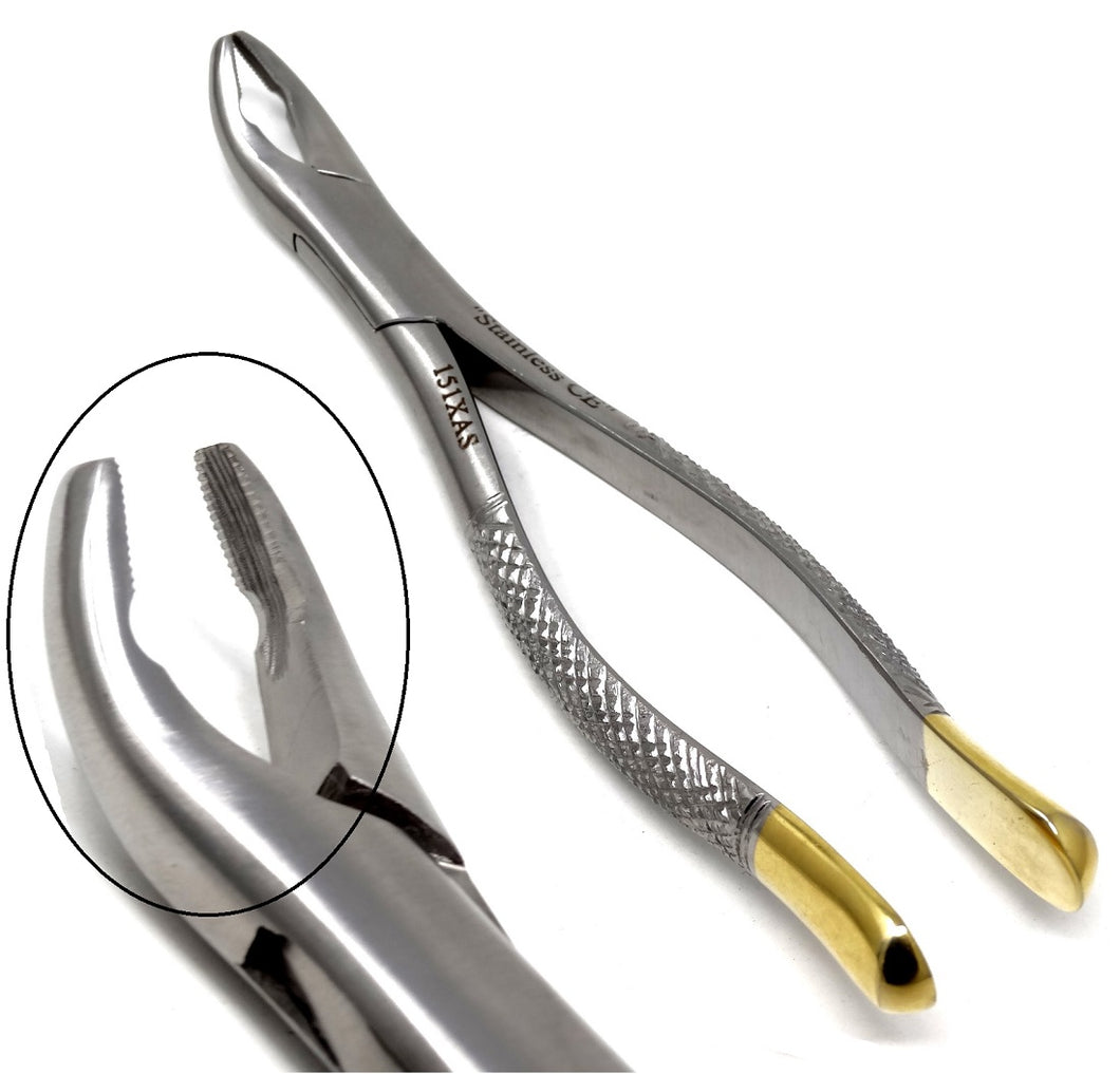 Dental Extraction Forceps 151XAS, Gold Handle, Stainless Steel