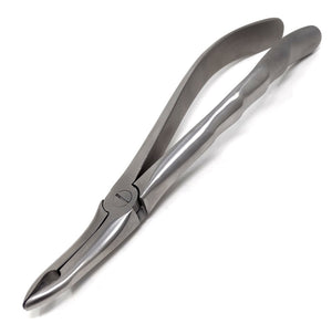 Dental Extracting Forceps #844 Satin, Stainless Steel