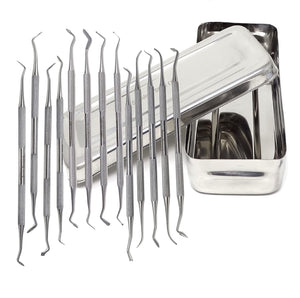 13 Pcs Professional Dental Wax Carvers and Composite Filling Instruments in Sterilizer Instrument Box, Stainless Steel