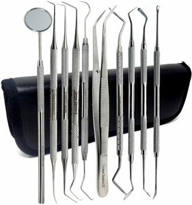 Dental Tools 10-Pack Oral Care Tools Stainless Steel Plaque Remover for Teeth Stainless Steel Kit with a Case