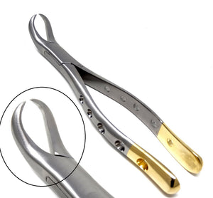 Dental Extraction Forceps #23, Gold Handle, Stainless Steel