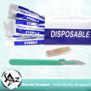 Disposable Scalpels #24, 10/bx Carbon Steel Blades, Plastic Handle