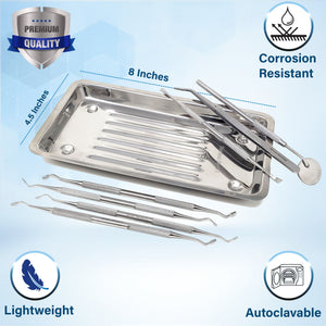 8 Pc Dental Amalgam PLUGGERS Composite Plastic Filling Instruments with Scaler Tray, Stainless Steel