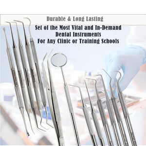 14 Pcs Professional Dental Oral Hygiene Set with Instrument Box, Stainless Steel