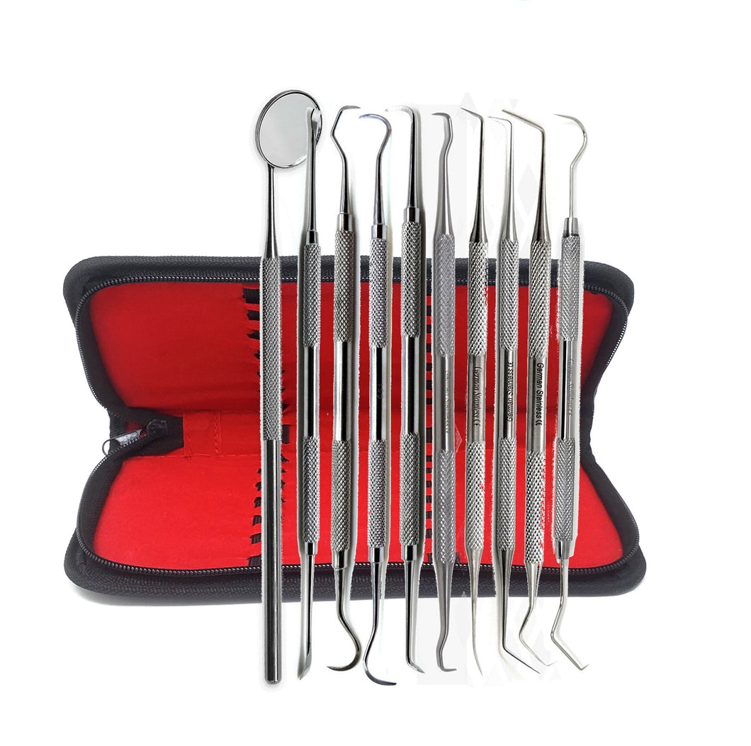 10 Pcs Dental Hygiene Tool Kit Includes Stainless Steel Tarter Scraper/Scaling Remover, Mirror, Double Ended Picks in a Case
