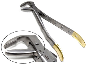 Dental Extraction Forceps #859, Gold Handle, Stainless Steel